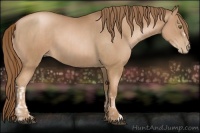 Horse Color:Liver Chestnut Pearl  and Liver Chestnut Pearl 