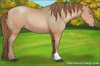 Horse Color:Brown Pearl and Brown Pearl