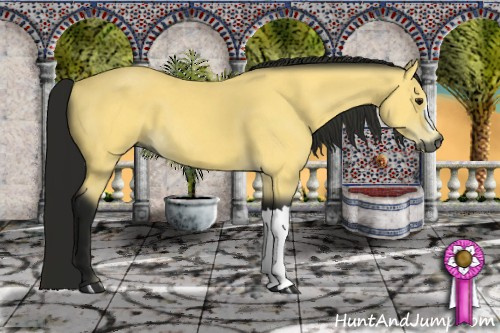 Horse Color:Gray Buckskin 