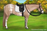 Horse Color:Brown Pearl  and White Spotted Brown Pearl 