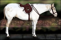 Horse Color:Liver Red Dun Pearl Tobiano Appaloosa  and Liver Red Dun Pearl Tobiano Appaloosa 