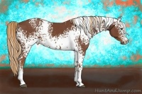 Horse Color:White Spotted Chestnut 