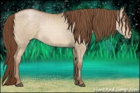 Horse Color:Bay Pearl Dun  and Bay Pearl Dun 
