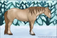Horse Color:Liver Chestnut Pearl and Liver Chestnut Pearl Rabicano