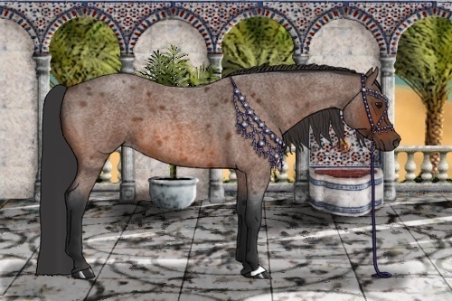 Horse Color:Bay Roan 