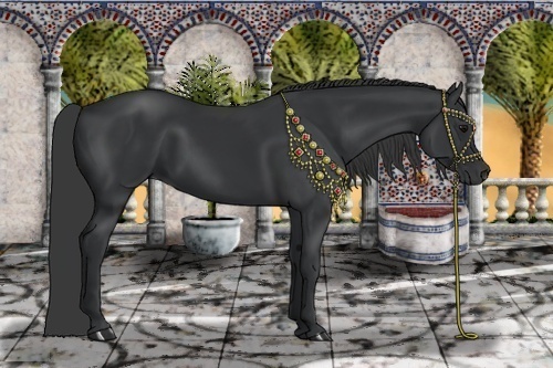 Horse Color:Black 