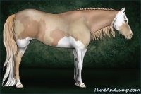 Horse Color:Liver Chestnut Pearl  and Liver Chestnut Pearl Splash 