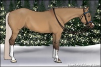 Horse Color:Silver Bay Dun 