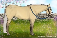 Horse Color:Silver Buckskin Dun 