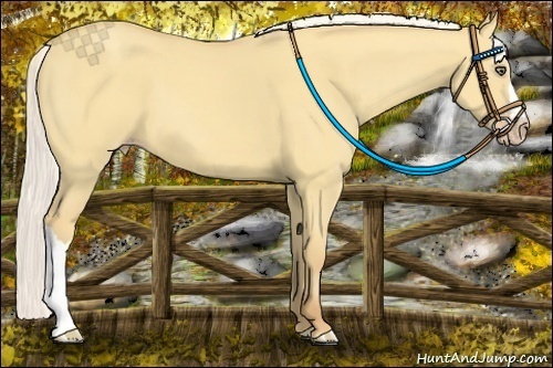 Horse Color:Silver Amber Cream Champagne Dun 