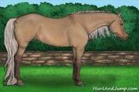 Horse Color:Silver Bay Dun 