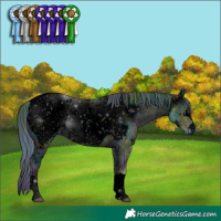 Horse Color:ERROR: UNKNOWN ANOMALY