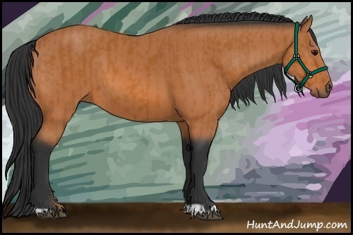 Horse Color:Bay and Bay
