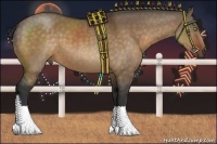 Horse Color:Brown Dun 