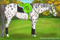 Horse Color:Bay Splash Tobiano Near Leopard  and Bay Splash Tobiano Near Leopard 