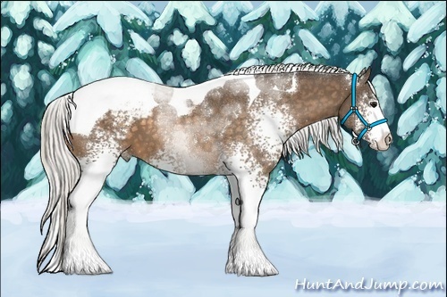 Horse Color:White Spotted Silver Buckskin Tobiano Varnish 