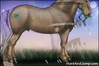 Horse Color:Chocolate Palomino