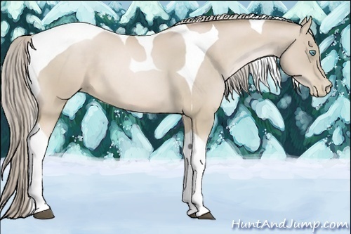 Horse Color:Chocolate Palomino Pearl Tobiano 