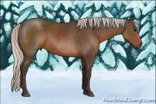 Horse Color:Silver Brown 