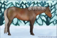 Horse Color:Silver Brown