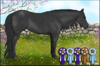 Horse Color:Black Rabicano