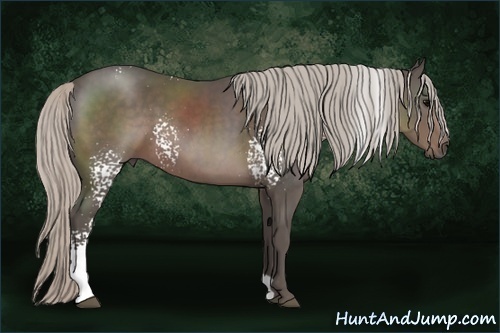 Horse Color:White Spotted Silver Black 