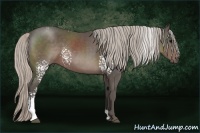 Horse Color:White Spotted Silver Black 