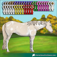 Horse Color:White Spotted Smoky Creme 