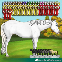 Horse Color:Smoky Creme Dun Near Leopard 