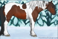 Horse Color:Brown Tobiano 