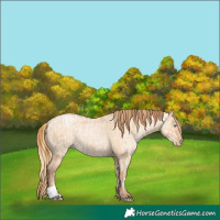 Horse Color:Buckskin Roan Pearl Dun  and Bay Roan Pearl Dun 