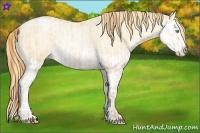 Horse Color:Buckskin Roan Pearl and Buckskin Roan Pearl Splash