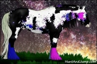 Horse Color:Watercolor White Spotted Chocolate Palomino Splash Appaloosa