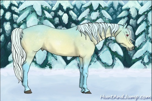 Horse Color:Watercolor Silver Brown Chinchilla Sabino Rabicano 