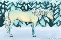 Horse Color:Watercolor Silver Brown Chinchilla Sabino Rabicano 