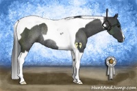 Horse Color:Black Tobiano Rabicano 