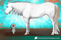 Horse Color:Black Pearl Sabino 