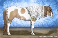 Horse Color:Black Pearl Sabino Tobiano 