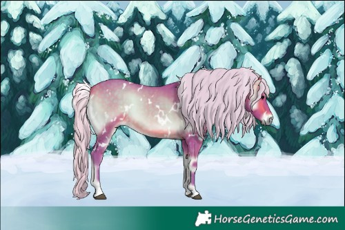 Horse Color:Watercolor White Spotted Silver Buckskin Onyx