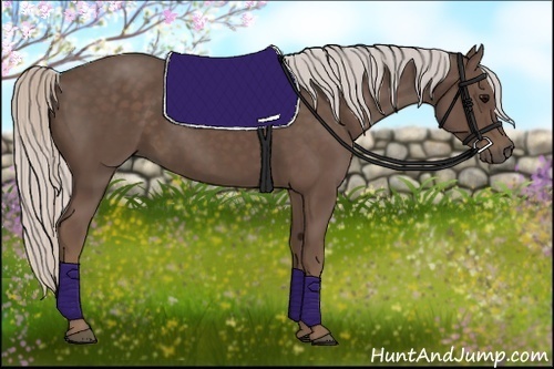 Horse Color:Silver Black 