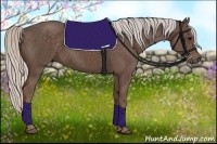 Horse Color:Silver Black 