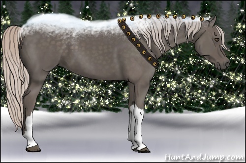 Horse Color:Silver Black 