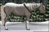 Horse Color:Silver Black
