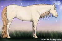 Horse Color:Buckskin Roan Pearl  and Buckskin Roan Pearl 