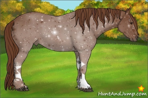 Horse Color:Chestnut Tobiano 