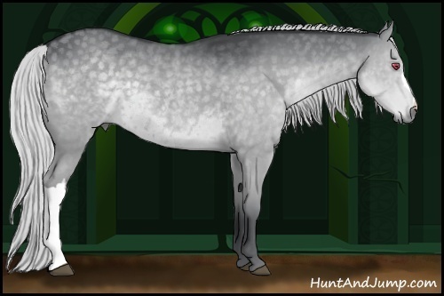 Horse Color:Silver Grullo Chinchilla 