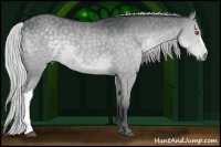 Horse Color:Silver Grullo Chinchilla 