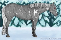 Horse Color:White Spotted Silver Grullo Chinchilla Ice 