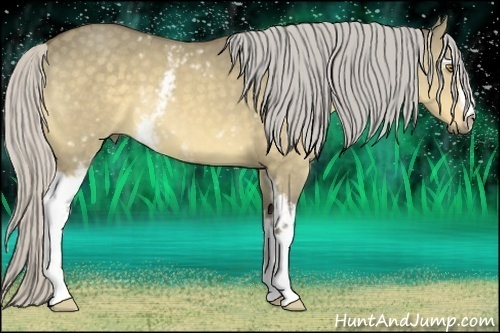 Horse Color:White Spotted Silver Buckskin Dun 