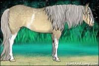 Horse Color:White Spotted Silver Buckskin Dun